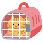 キャリーケースの中に入っている猫