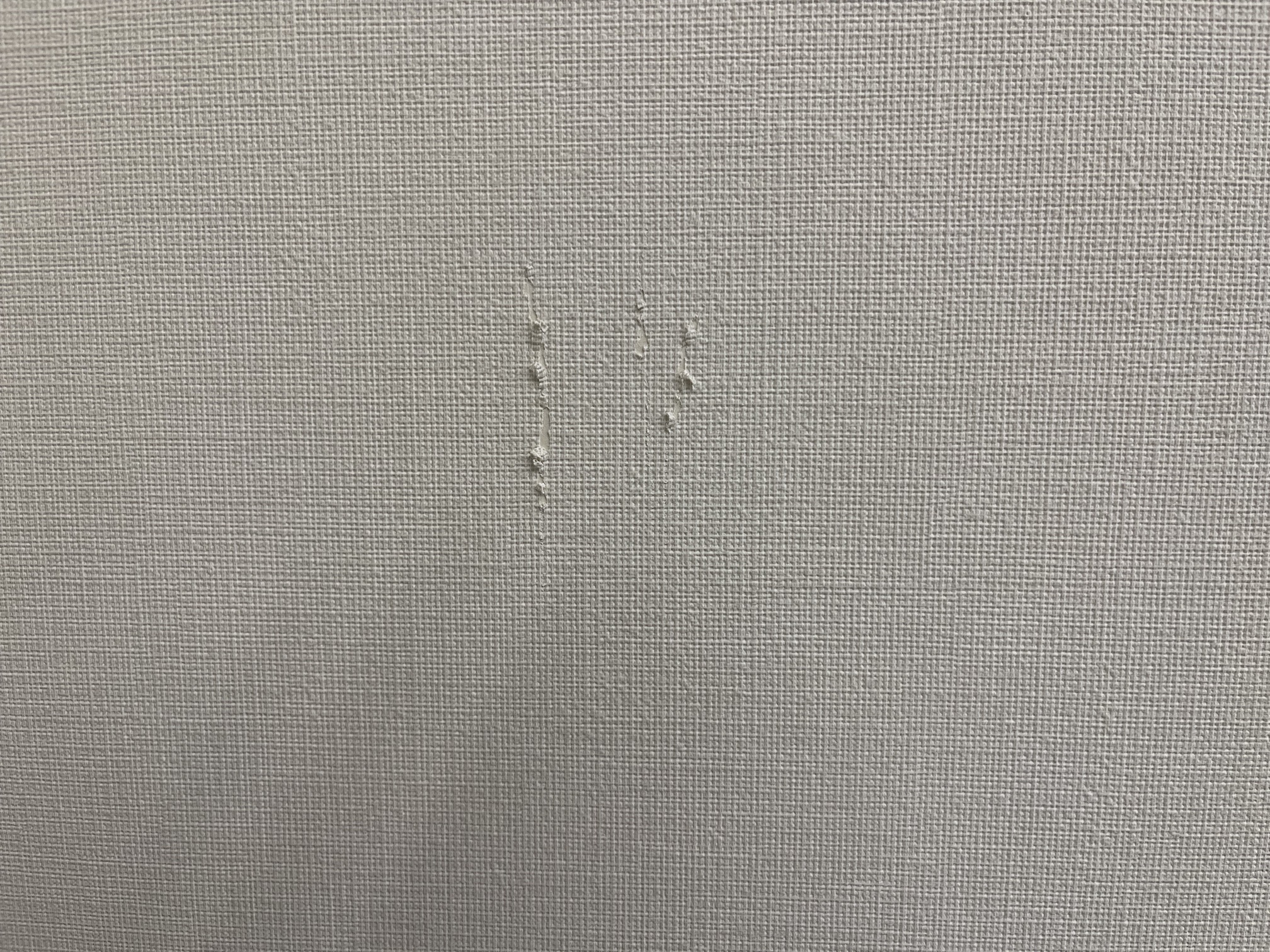 壁を爪研ぎされた跡