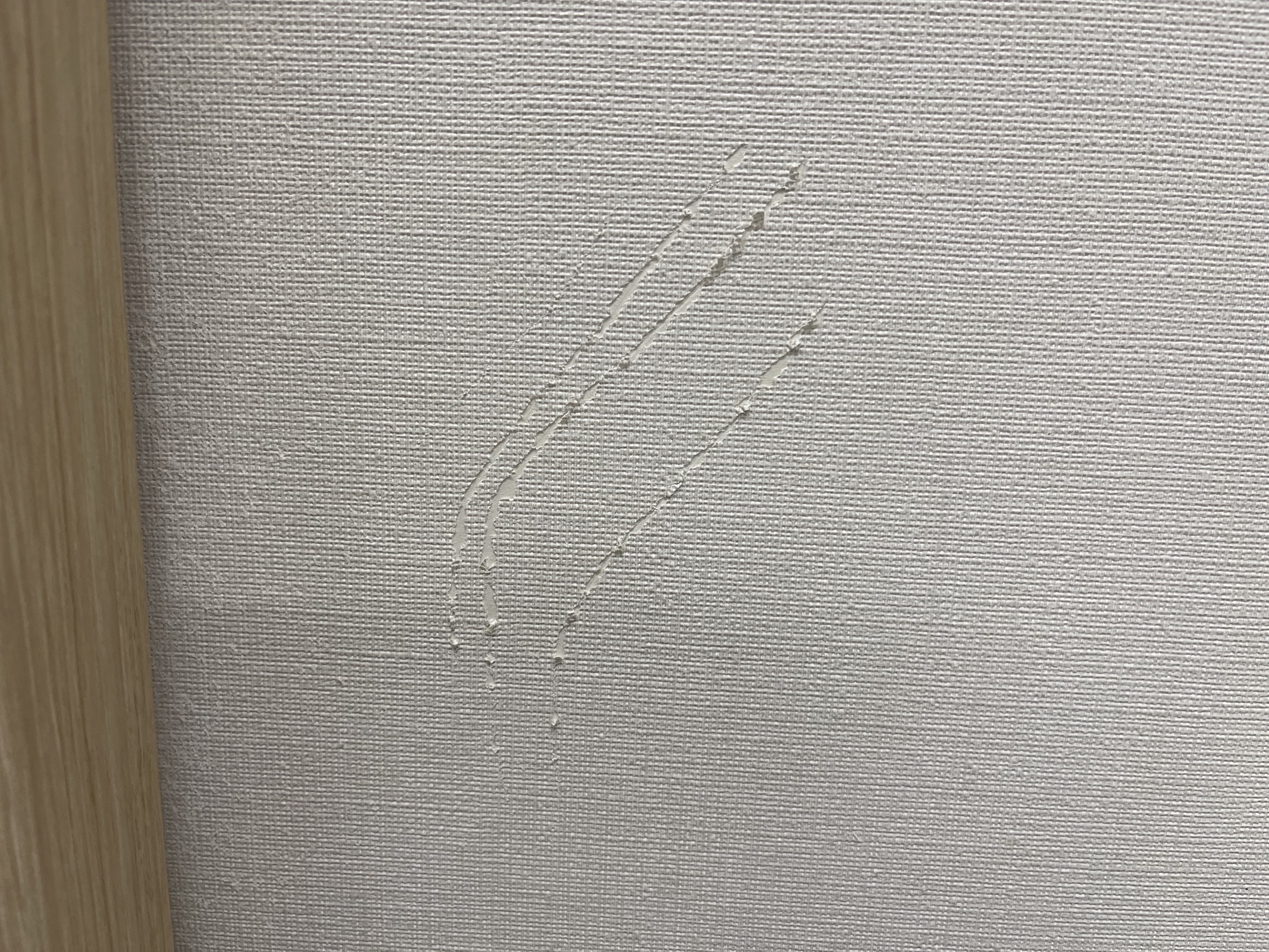 壁で爪をとがれた後