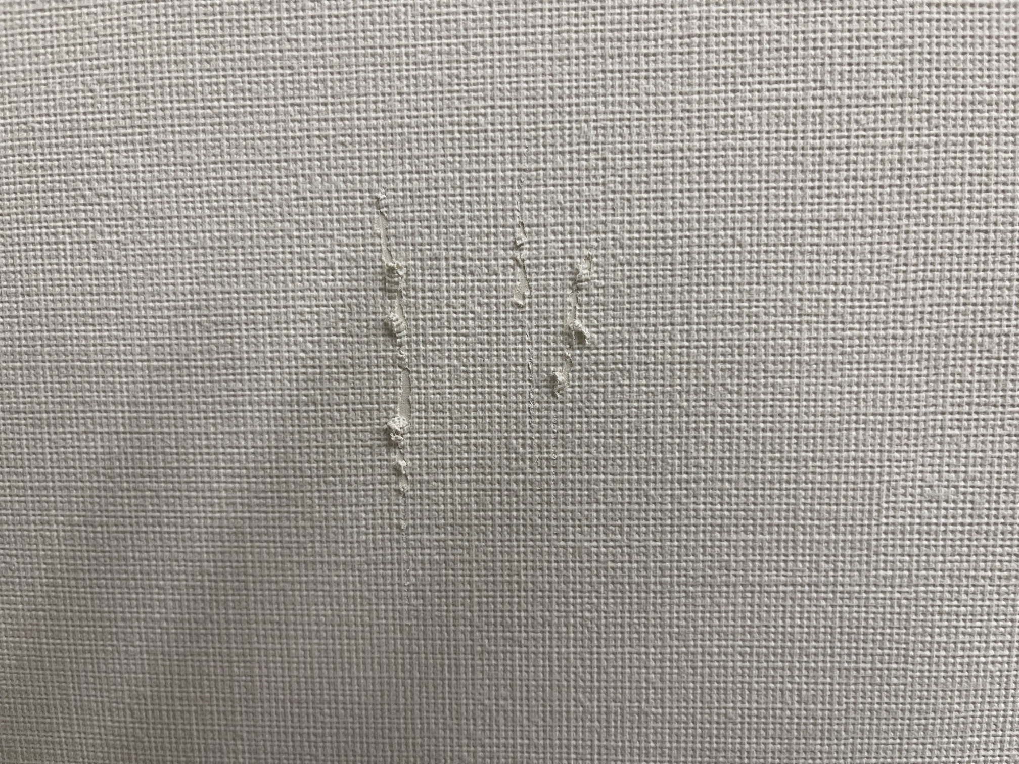 爪をとがれた壁