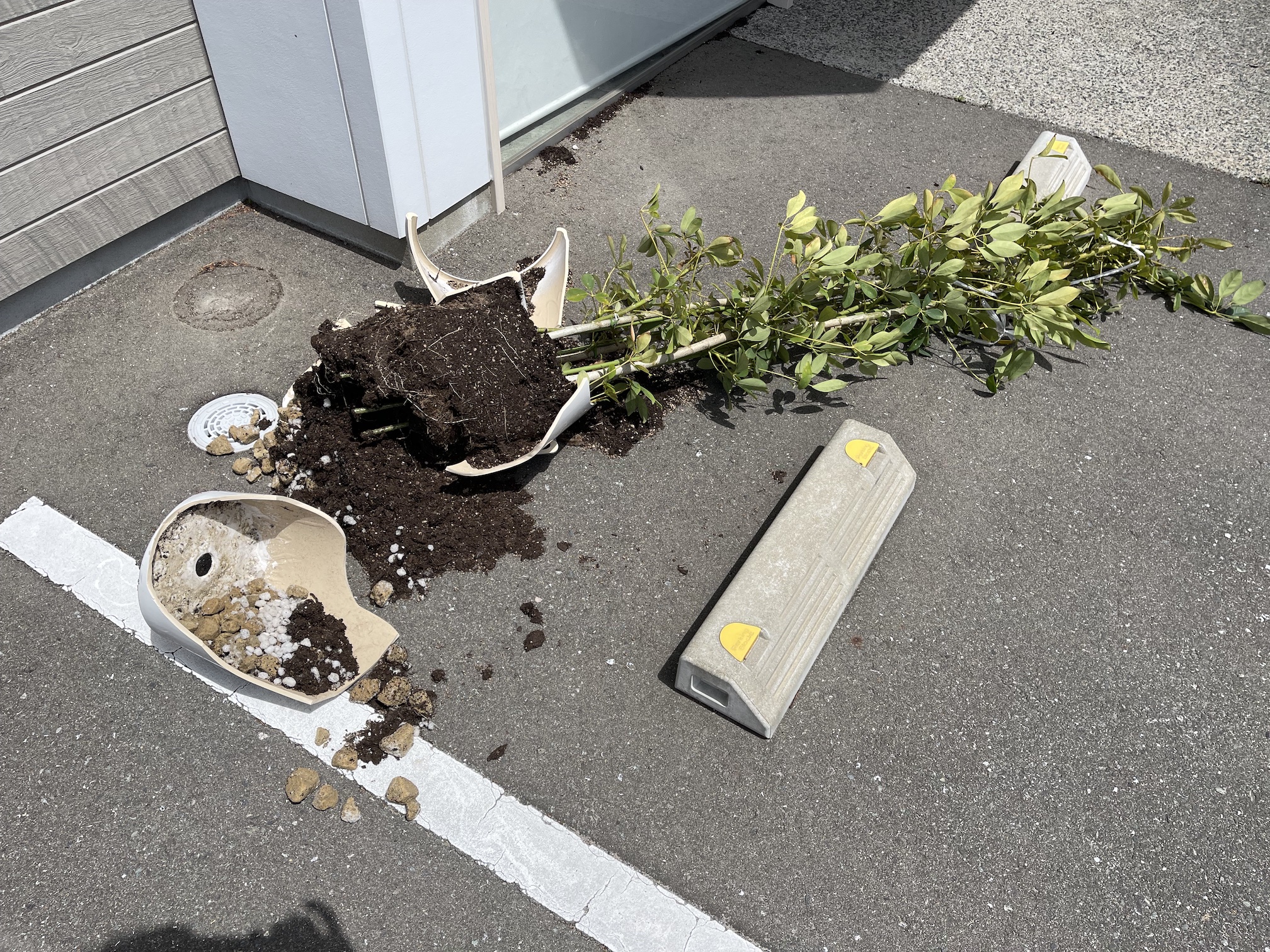 割れてしまったプランター