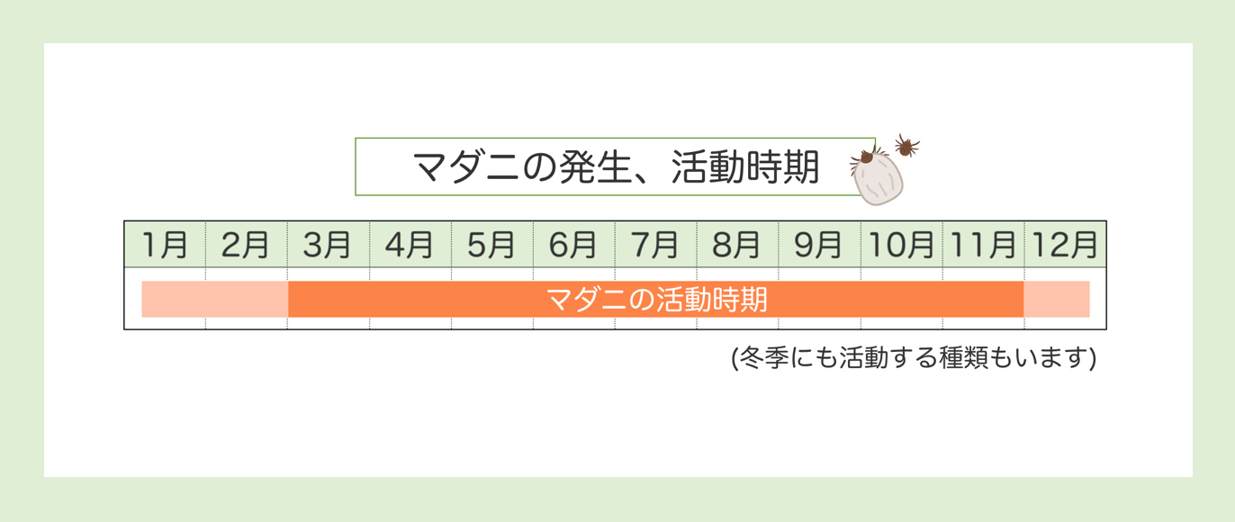 マダニの発生、活動時期