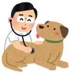 獣医師に診察される犬