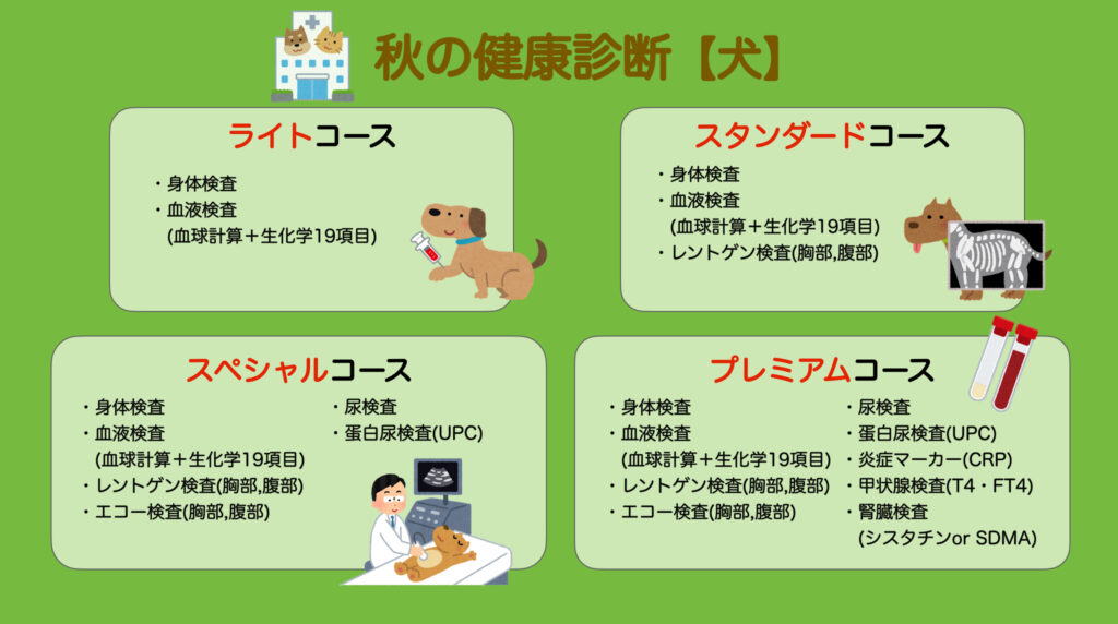 秋の健康診断　犬