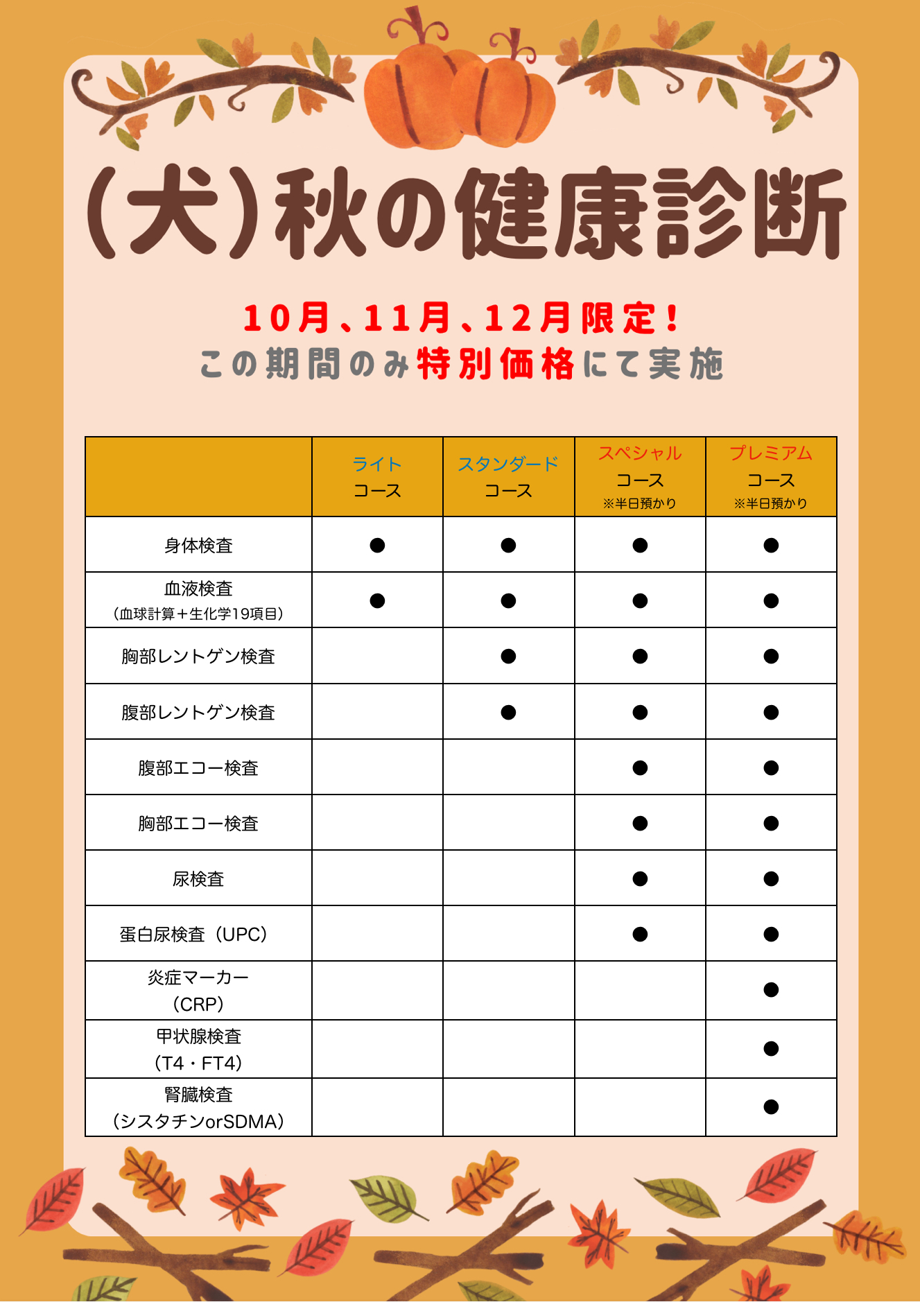 犬の秋の健康診断