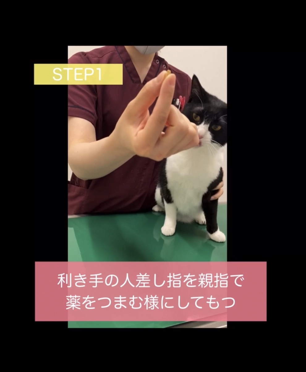 利き手の人差し指を親指で薬をつまむようにしてもつ