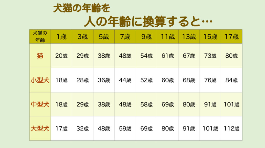 犬猫の年齢を人の年齢に換算すると