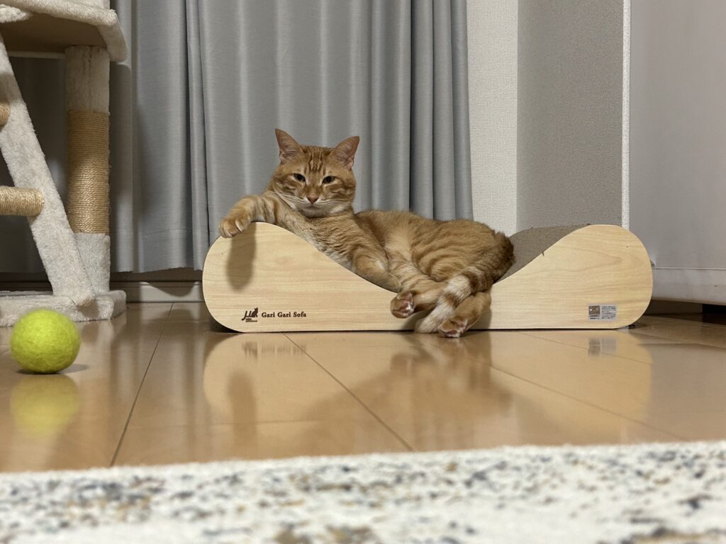 爪研ぎで寝ている猫