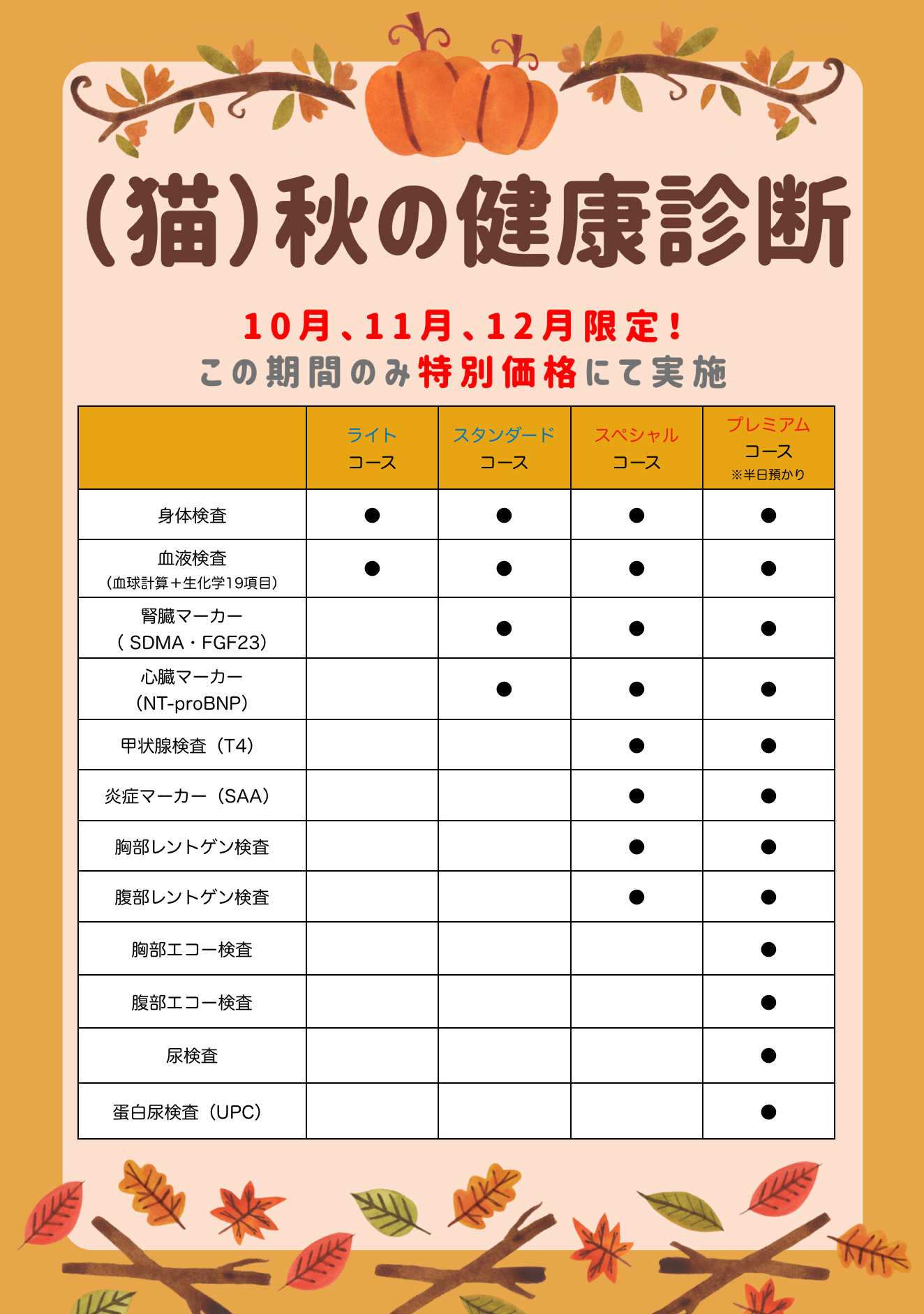 猫の秋の健康診断