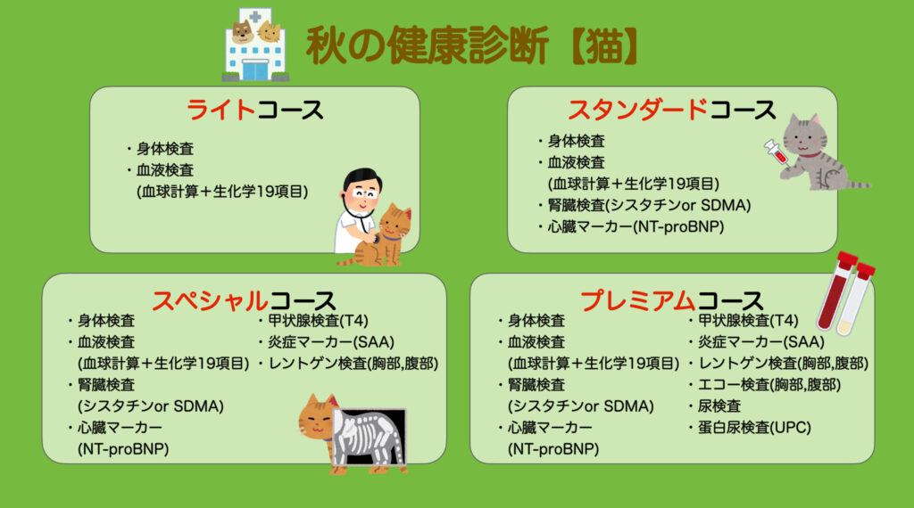 秋の健康診断　猫