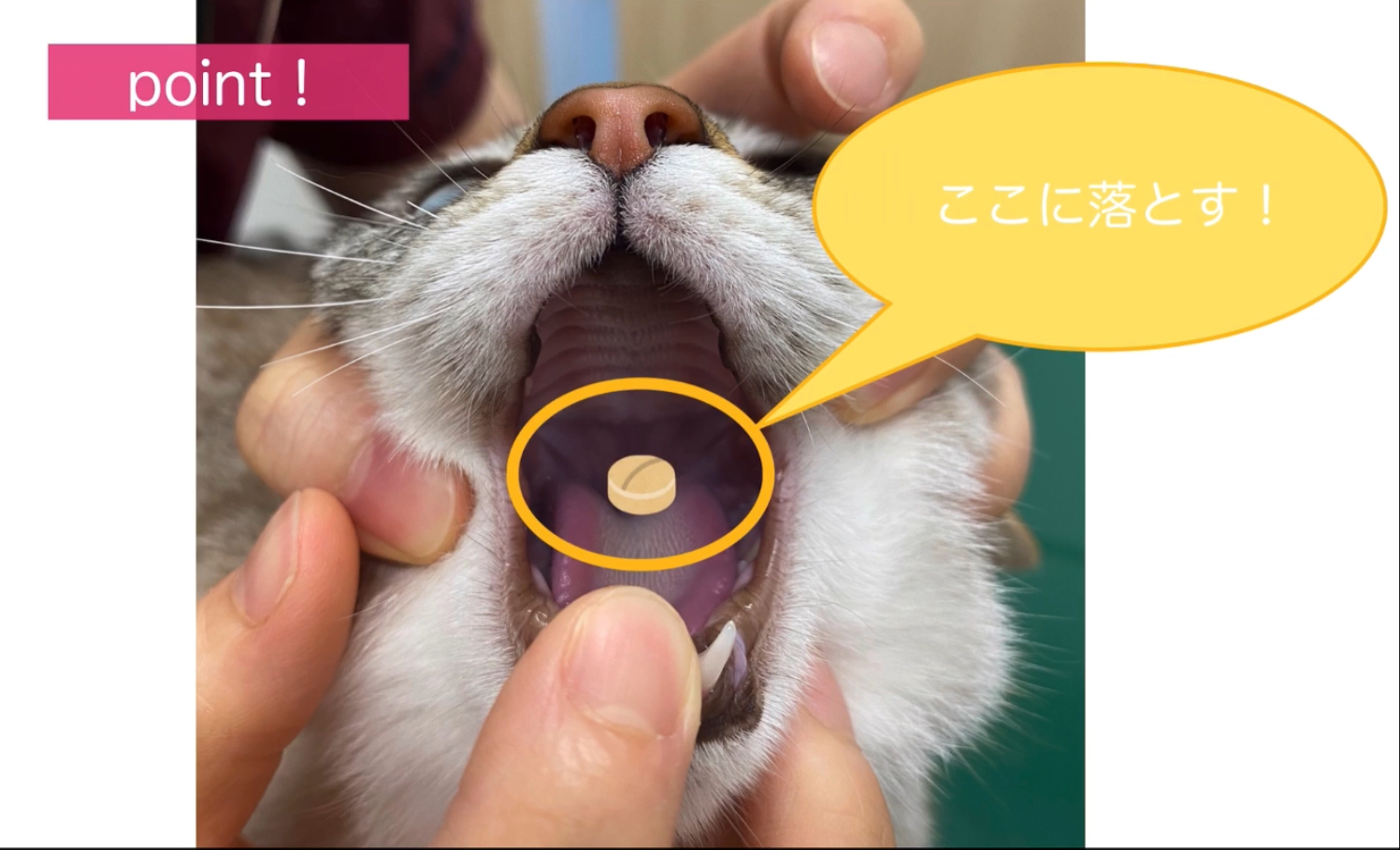 薬を落とす場所