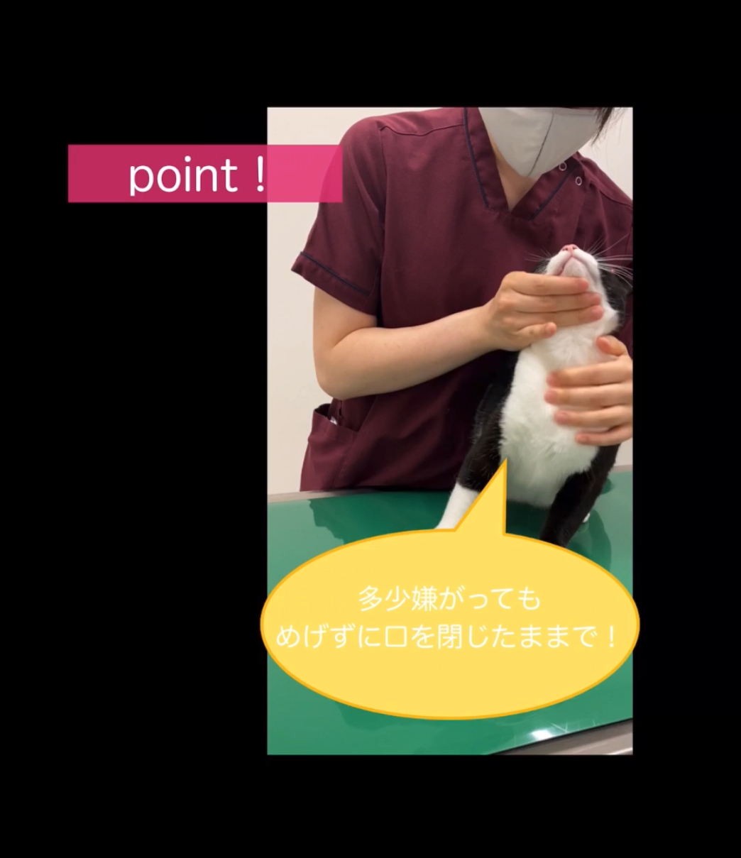 多少嫌がってもめげずに口を閉じたままで!