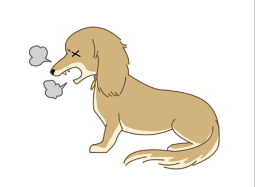 咳をしているミニチュアダックスフンド