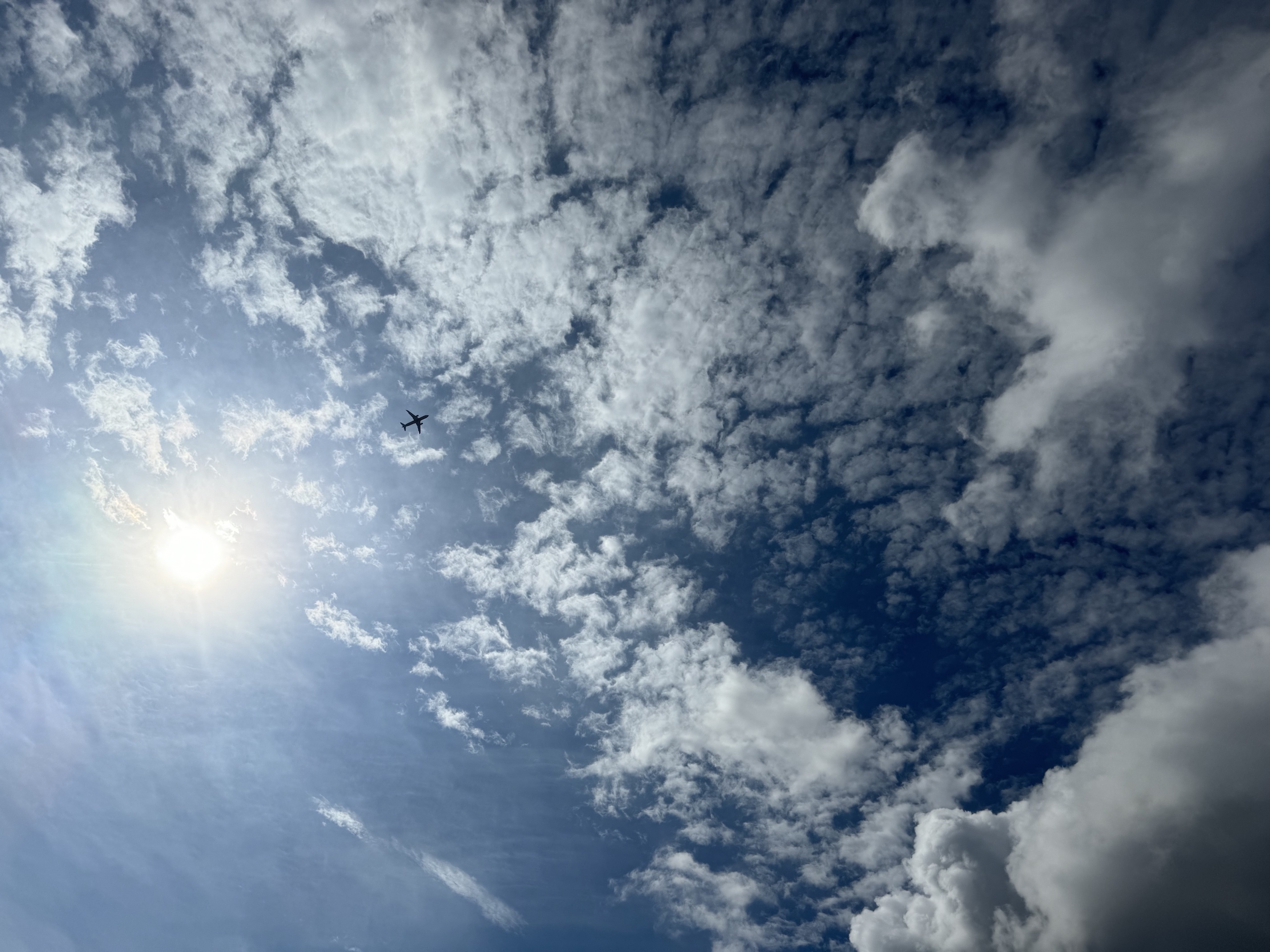 飛行機が飛んでいる空