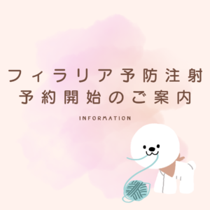 フィラリア予防注射予防開始のご案内