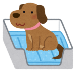 トイレにいる犬