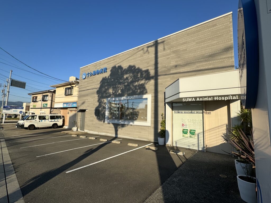 夕暮れ時のすわ動物病院