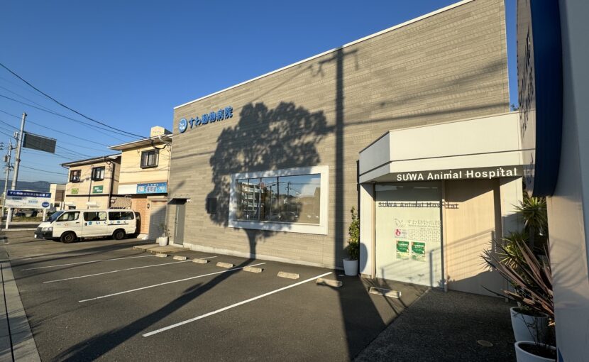 夕暮れ時のすわ動物病院