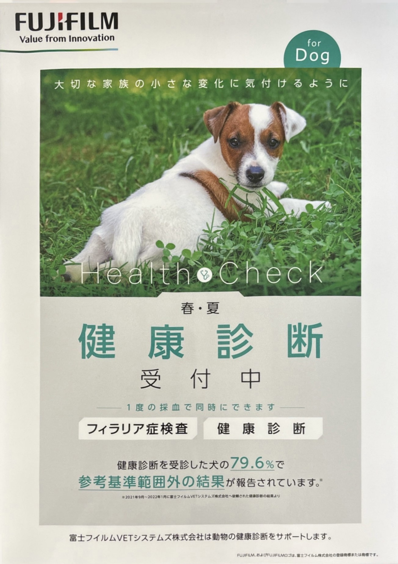 春夏犬の健康診断受付中