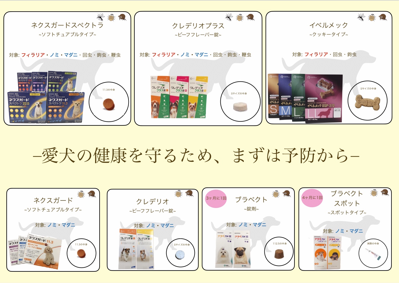 愛犬の健康を守るため、まず予防から