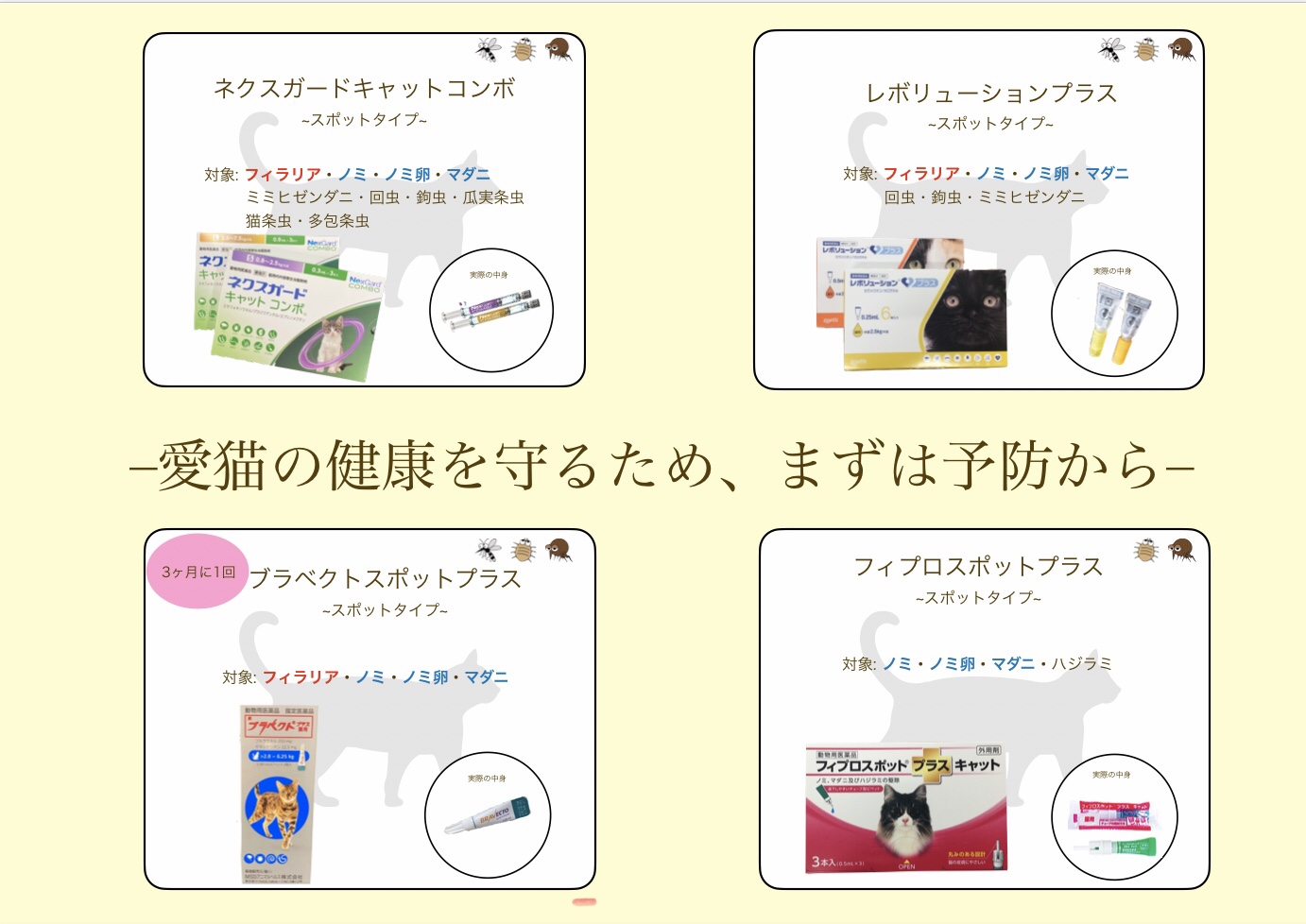 愛猫の健康を守るため、まずは予防から
