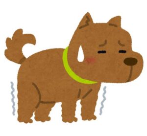 震えている犬