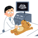 エコー検査を受ける犬