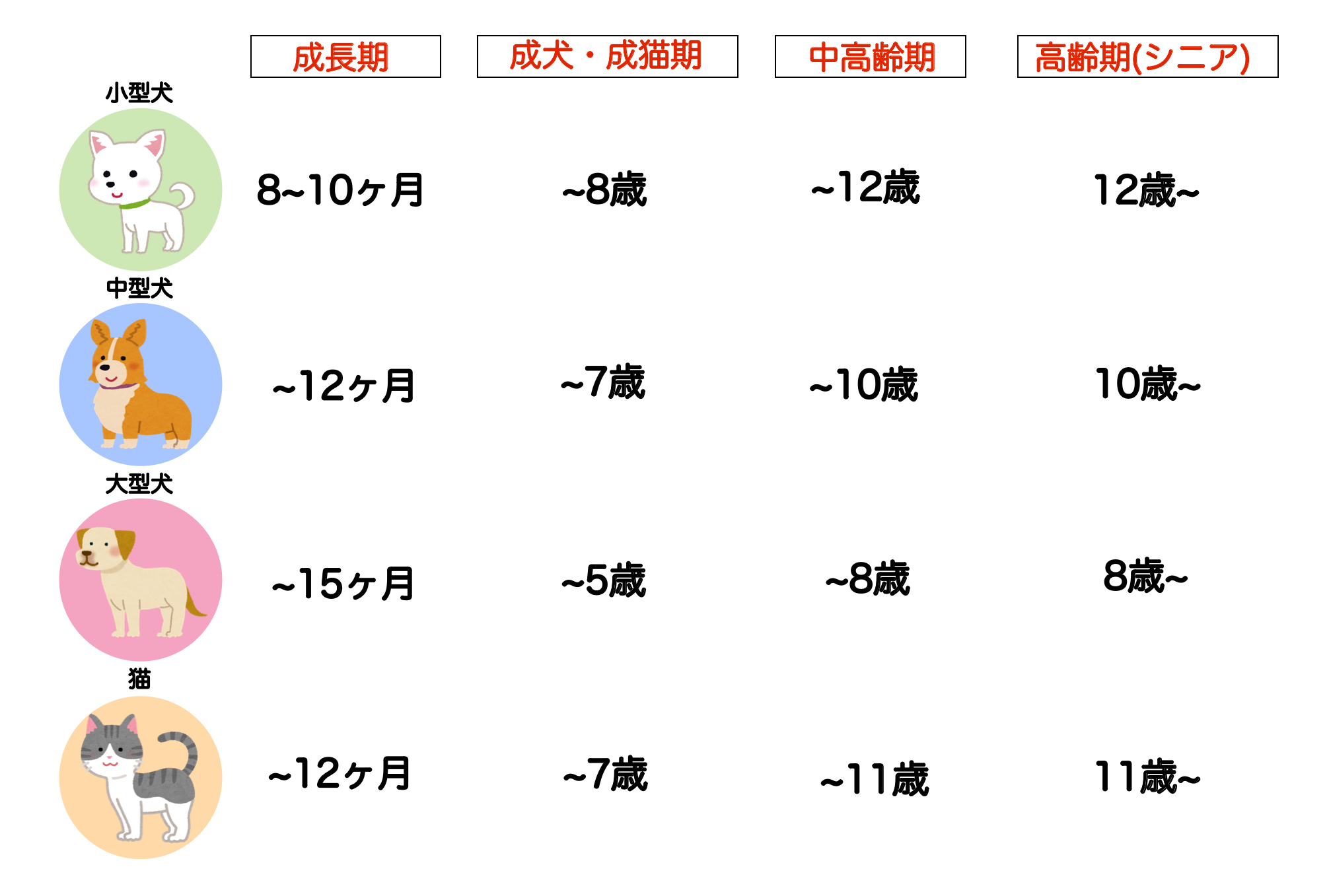 犬猫のライフステージ表
