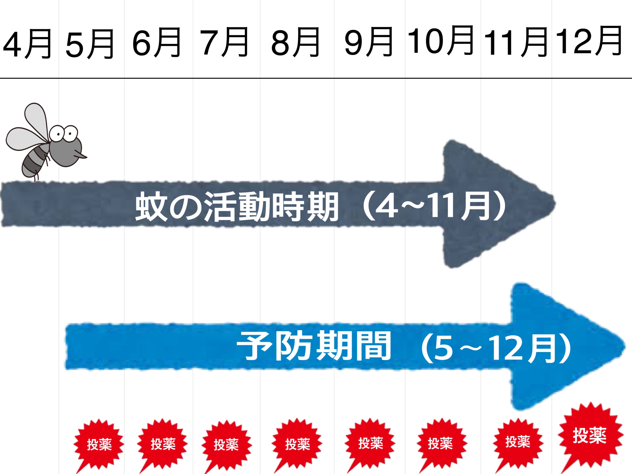 フィラリアの予防期間