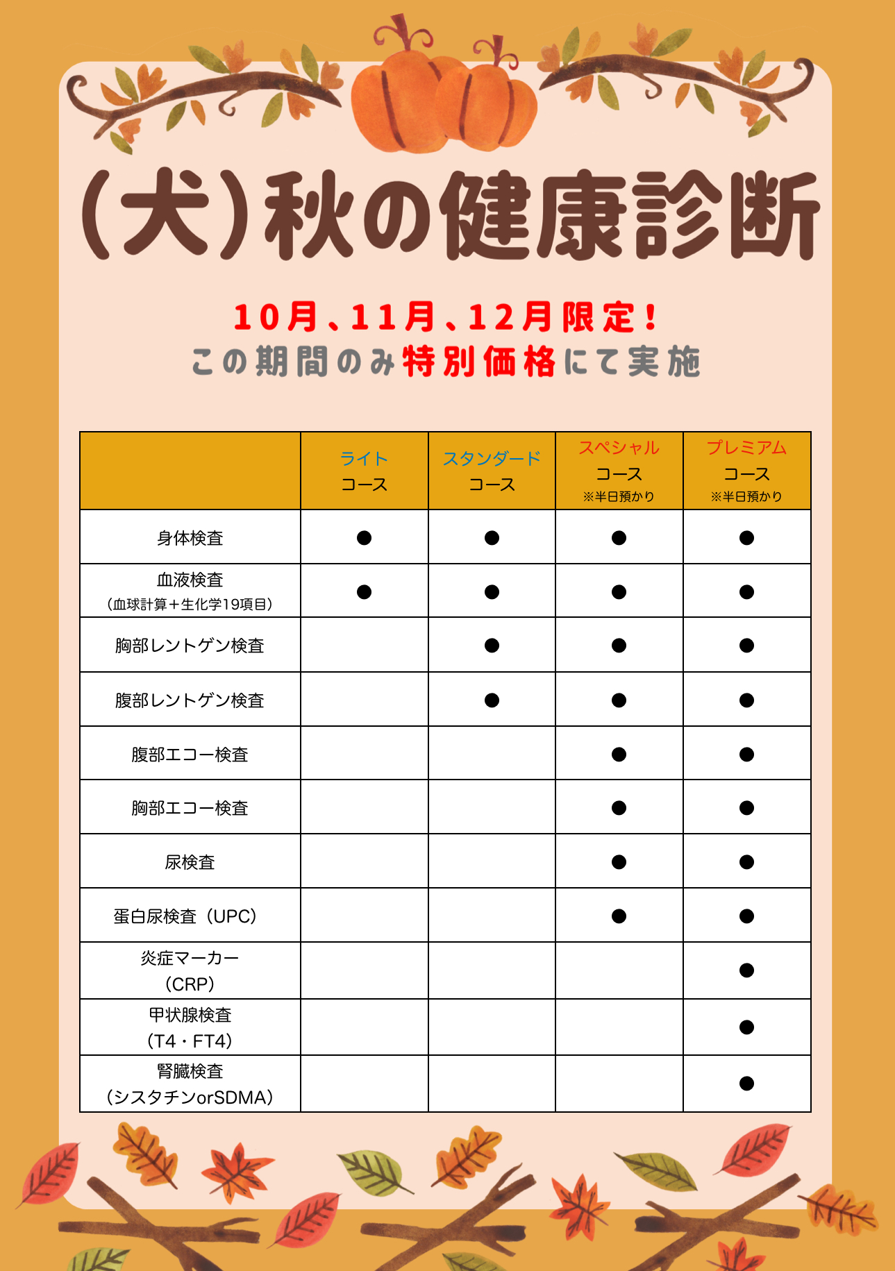 （犬）秋の健康診断