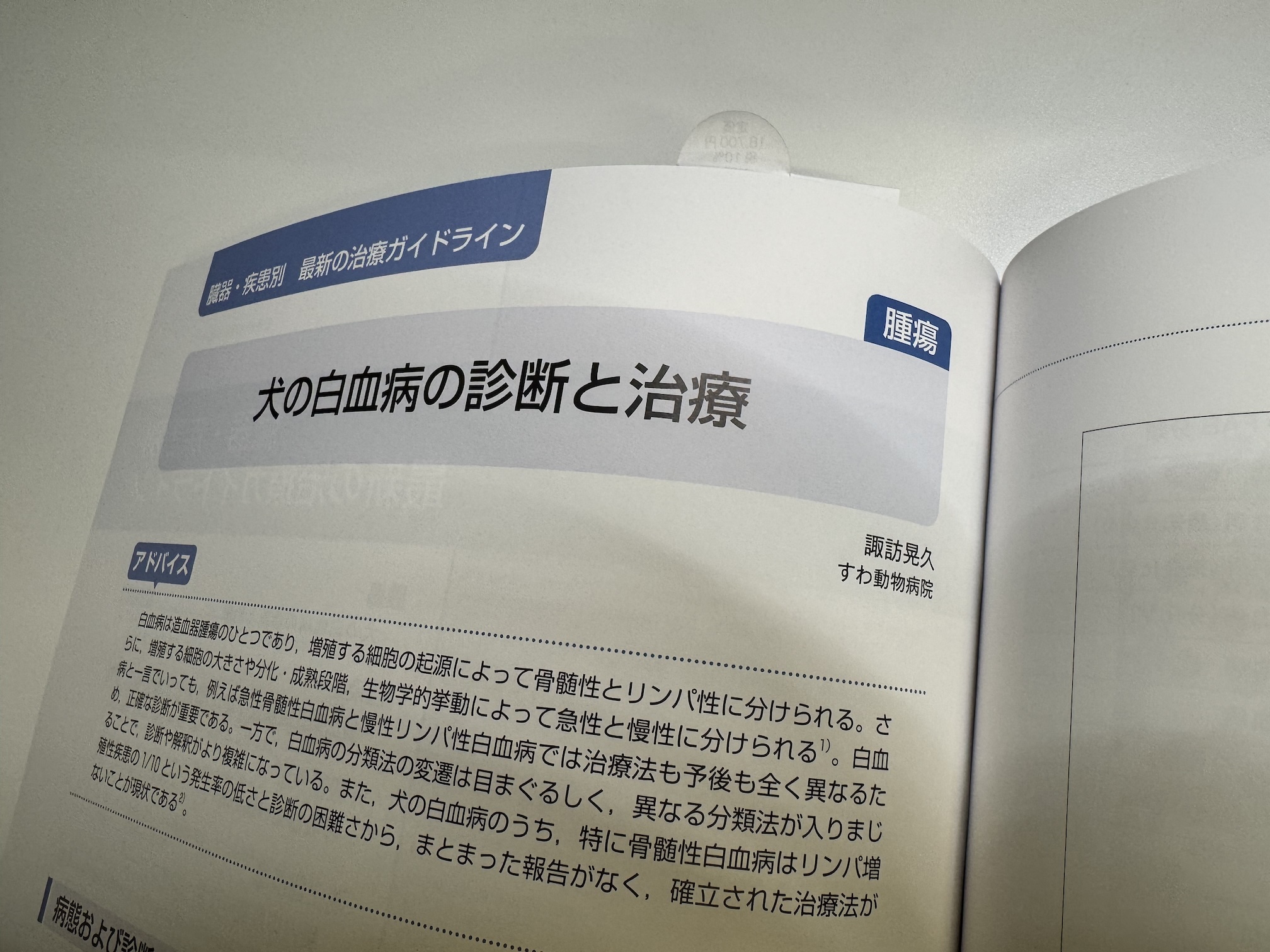 犬の白血病の診断と治療