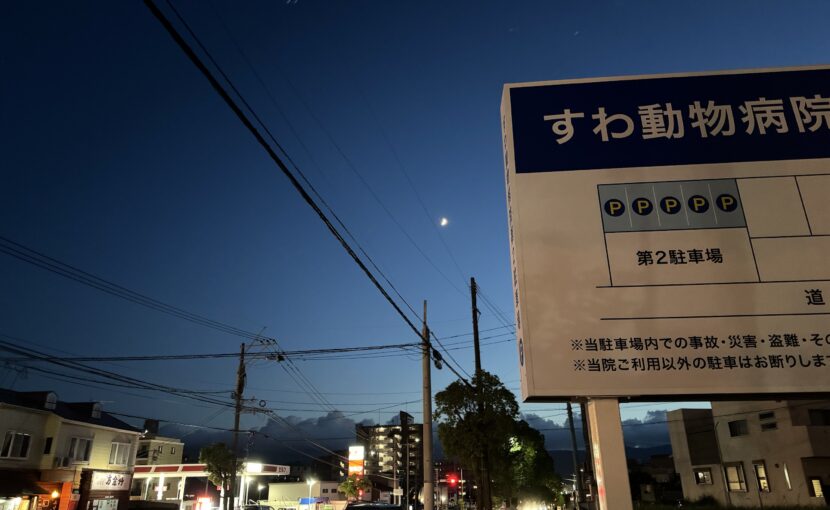 すわ動物病院の前の夜