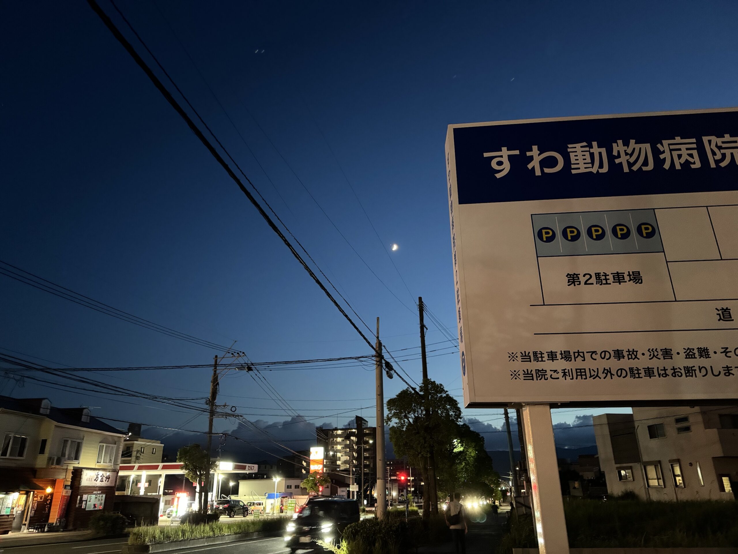 すわ動物病院の前の夜