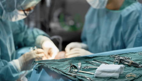 手術をしている様子