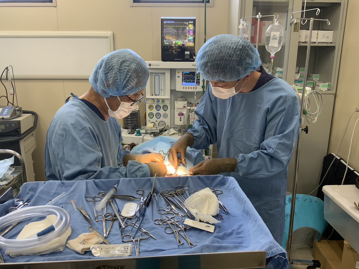 一般診療・外科